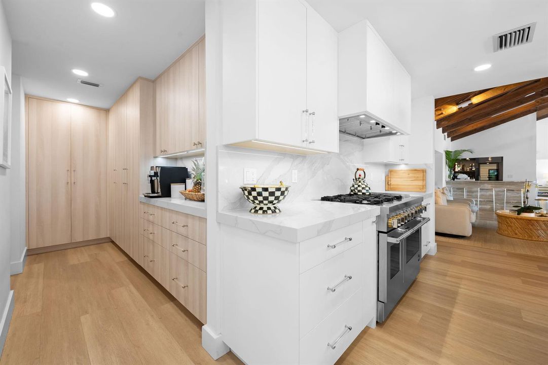 kitchen and pantry view