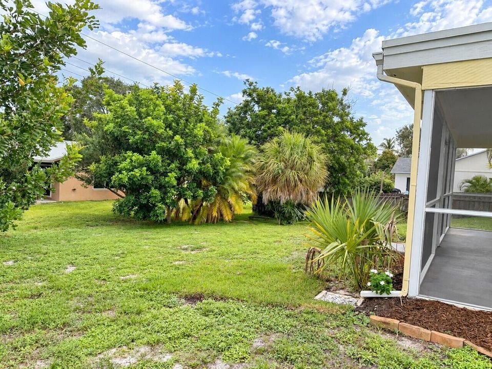back yard