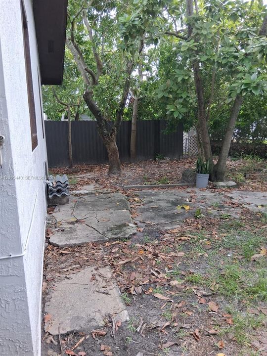 back yard