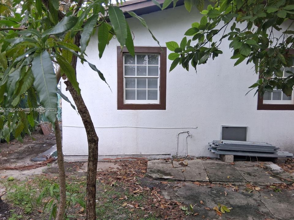 back yard