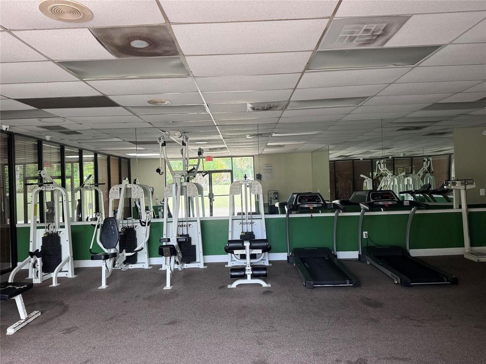 Gym
