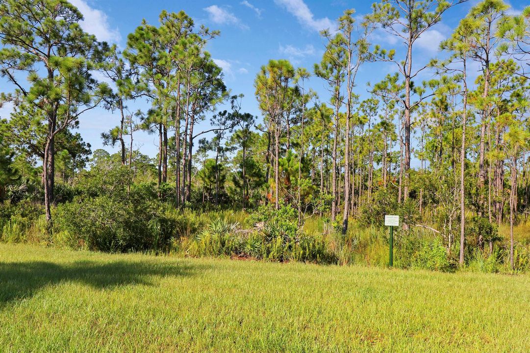 Private preserve view behind home