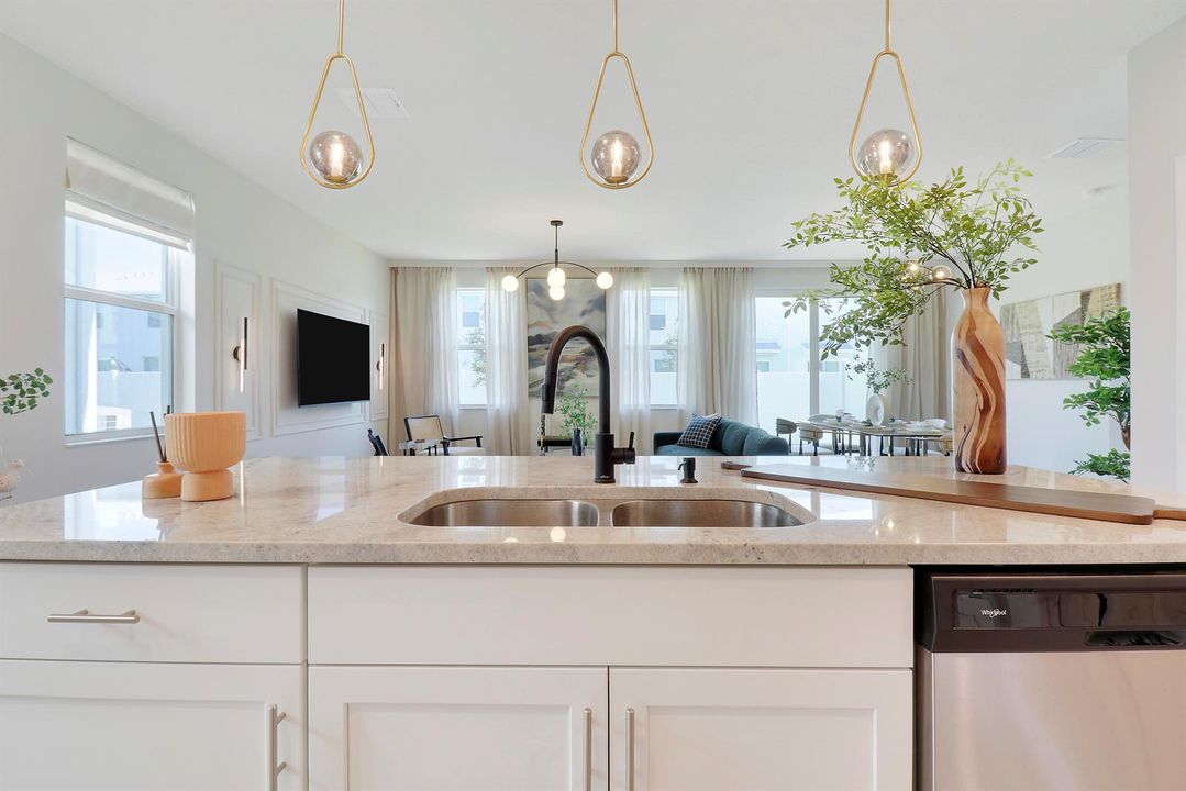 Kitchen sink, second view