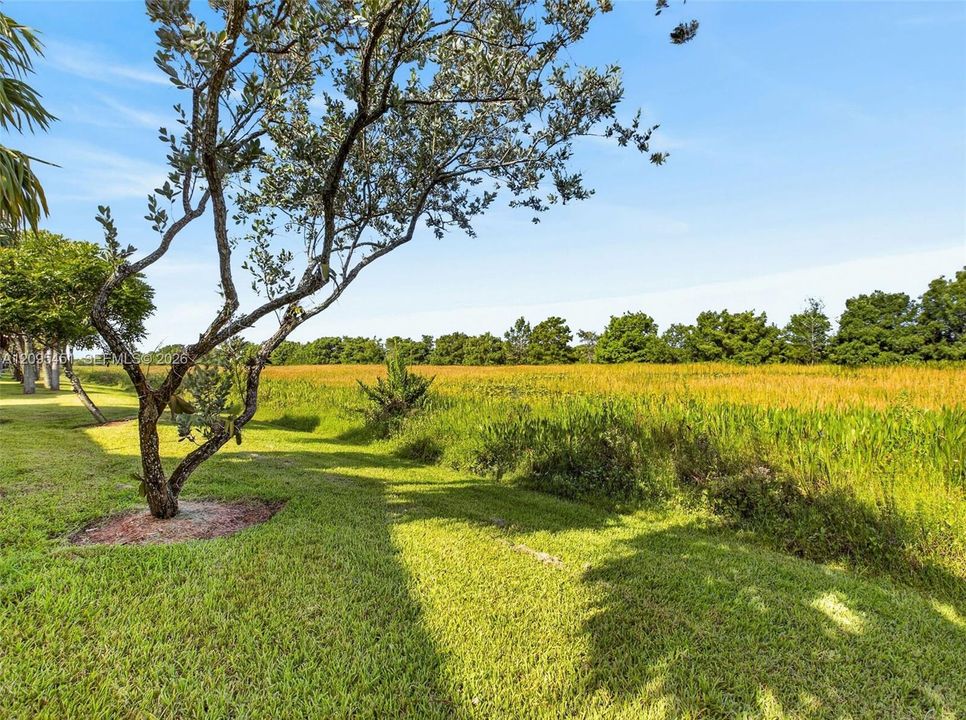 For Rent: $3,800 (4 beds, 2 baths, 1851 Square Feet)