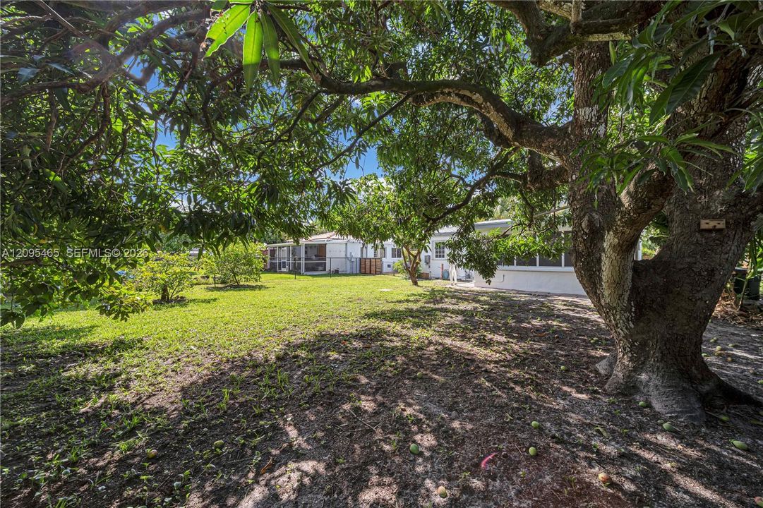 For Sale: $749,000 (3 beds, 2 baths, 1433 Square Feet)