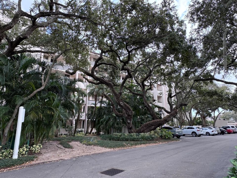 Trees