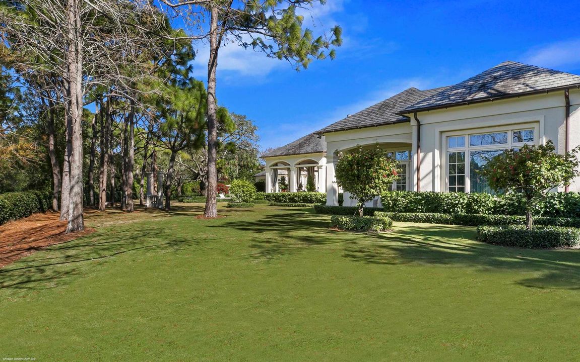 Rear Lawn