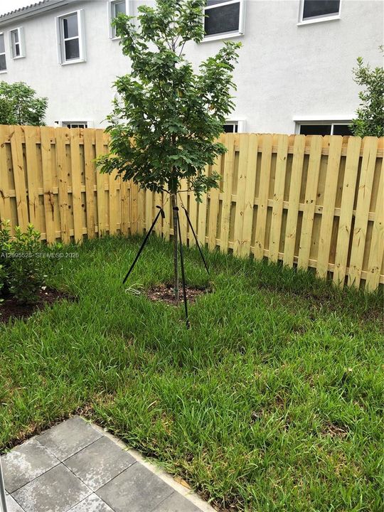 В аренду: $2,499 (3 спален, 2 ванн, 1331 Квадратных фут)
