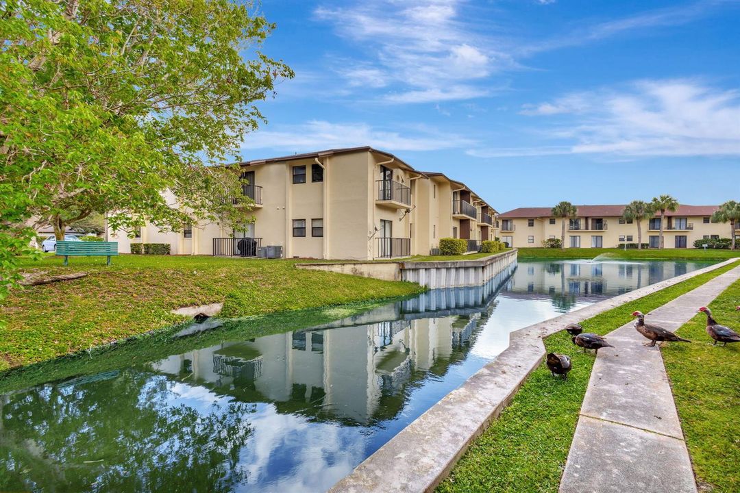 33-web-or-mls-5P1A4528