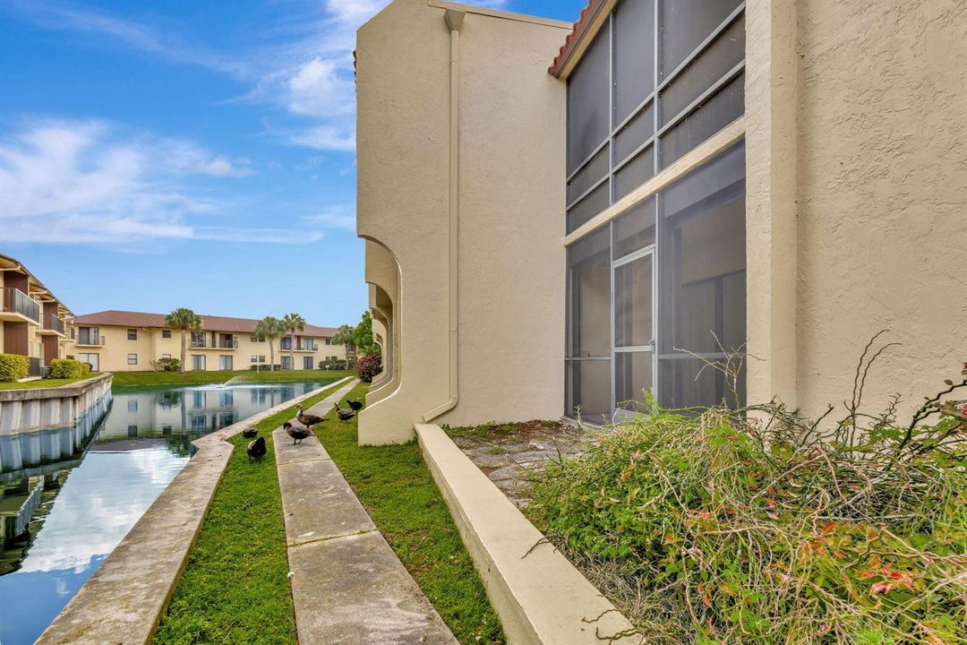 31-web-or-mls-5P1A4515