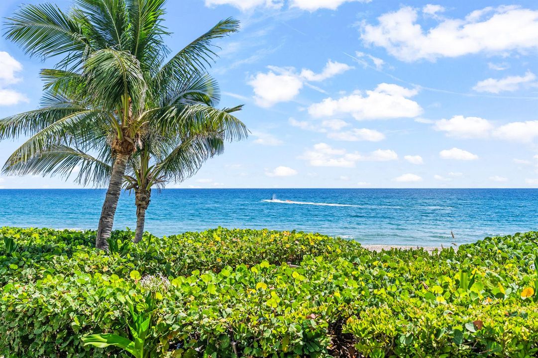 Ocean Front