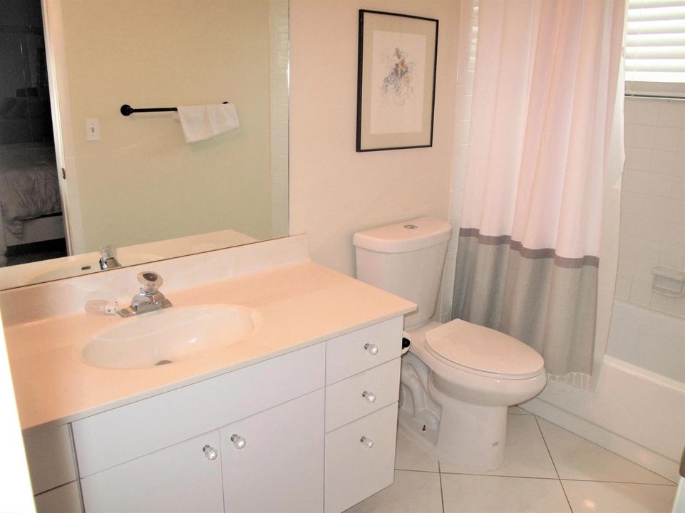 Master Bath tub shower combo