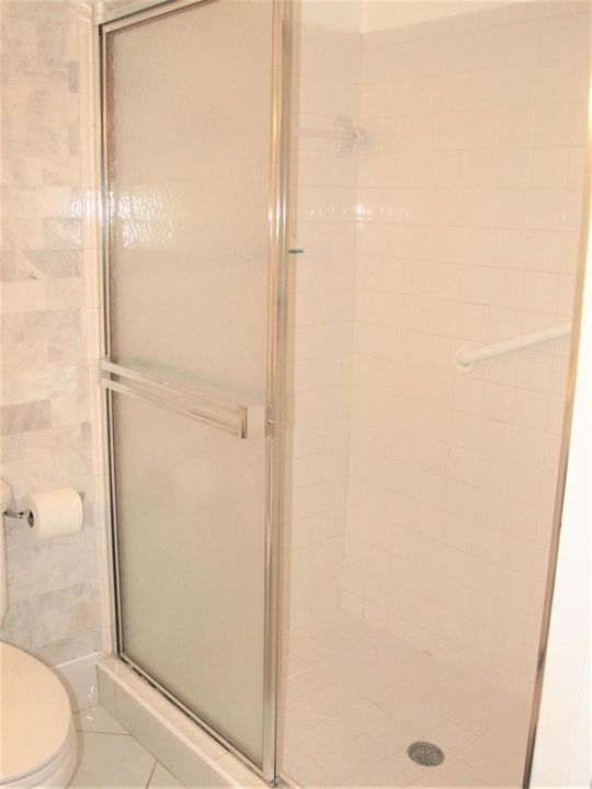 Guest bathroom shower