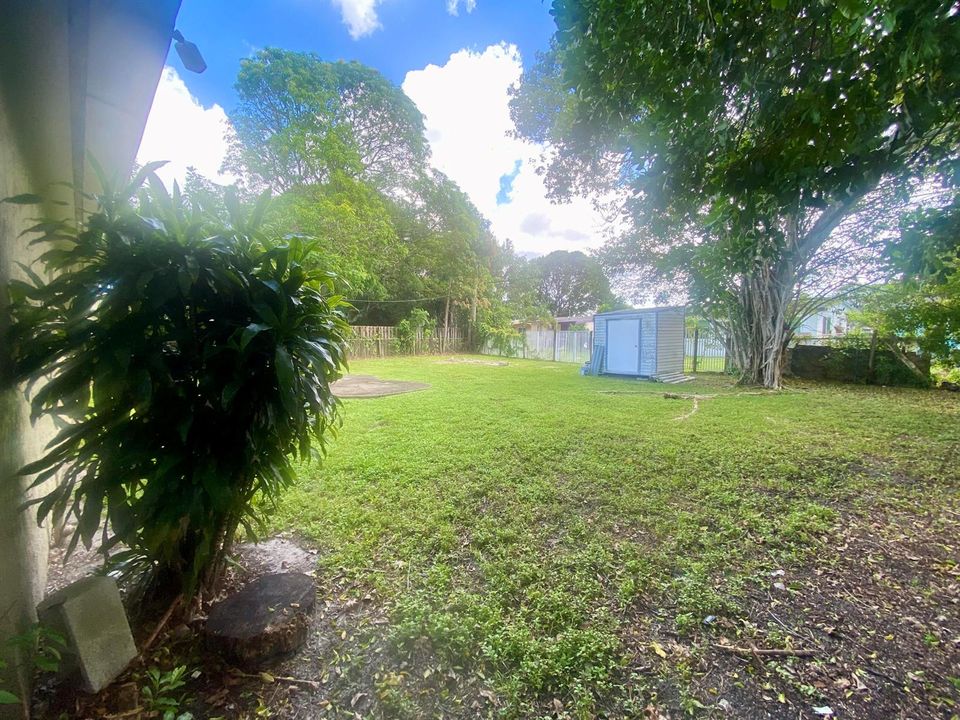backyard