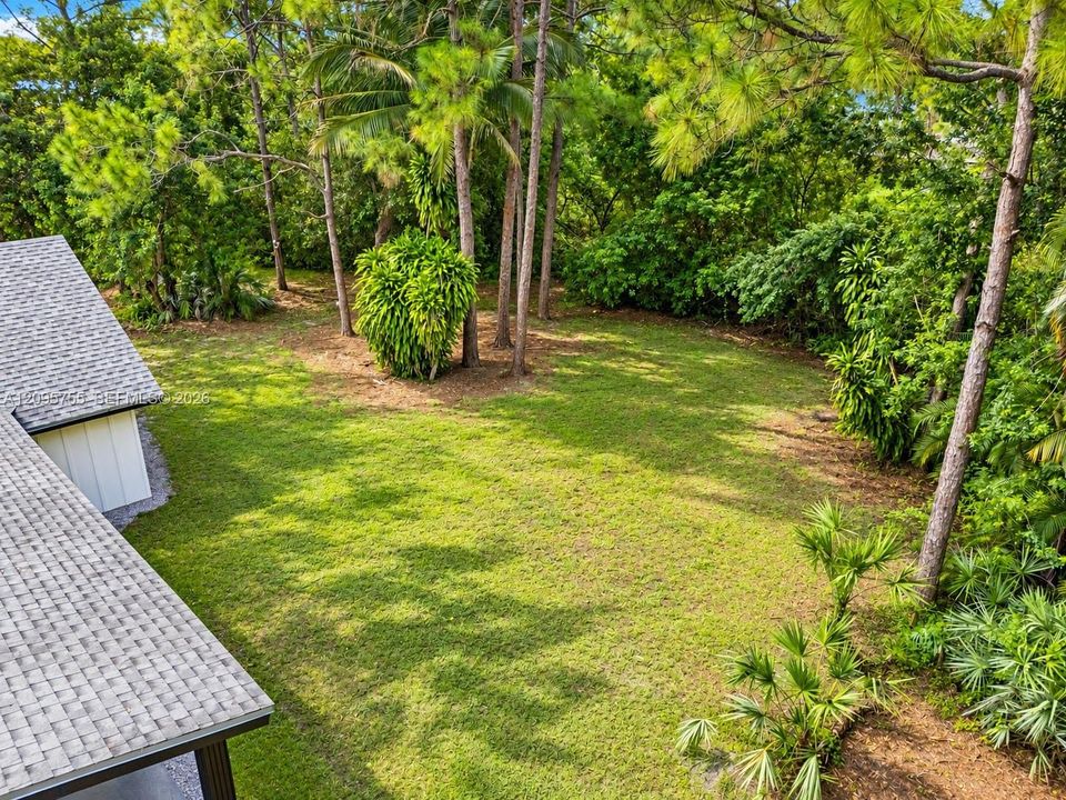Backyard