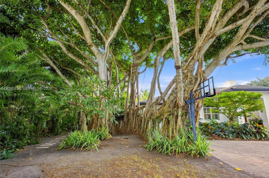 For Sale: $4,750,000 (5 beds, 5 baths, 4710 Square Feet)