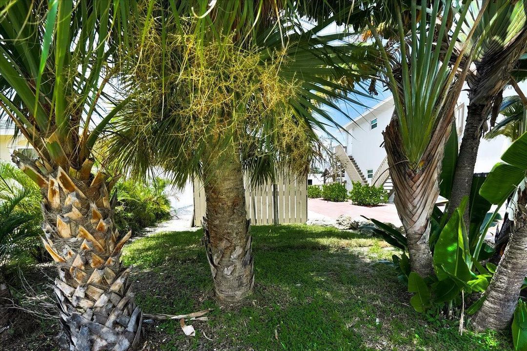 17-305 Cypress Drive-17