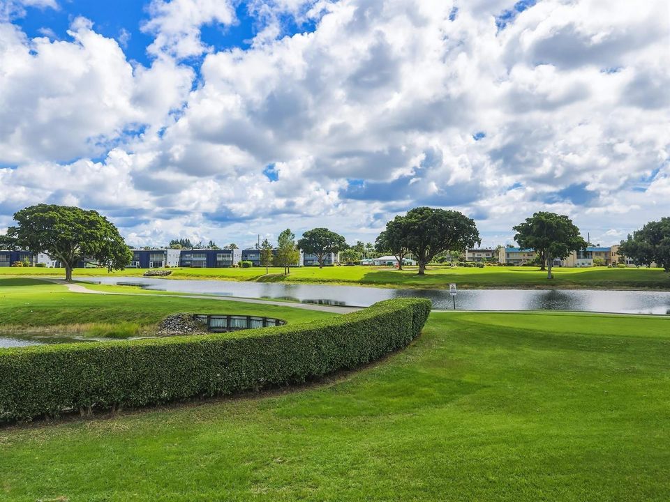 Golf View From Sun Room