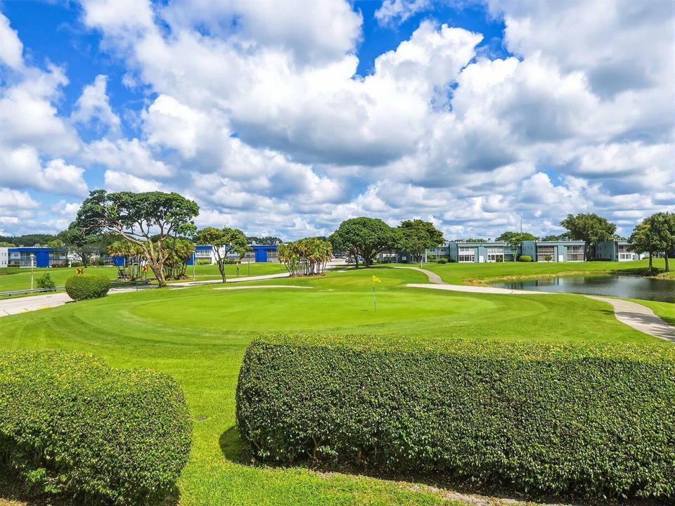 Golf View From Dining