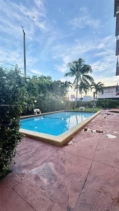 В аренду: $1,800 (1 спален, 1 ванн, 591 Квадратных фут)
