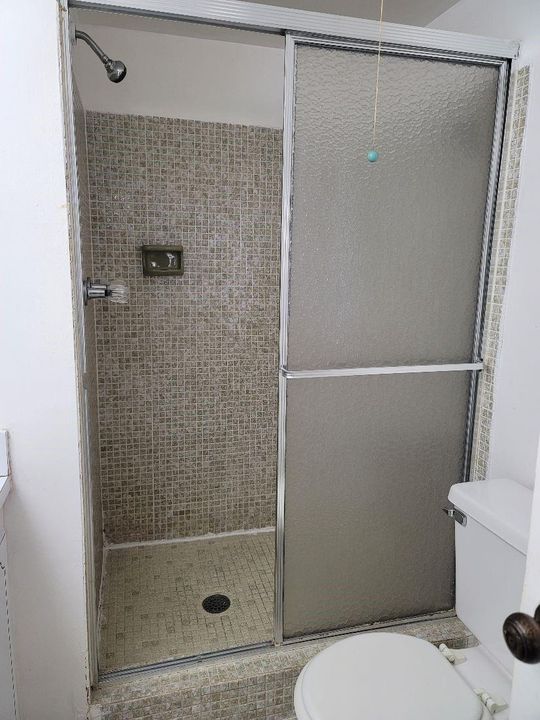 Shower in first Bathroom
