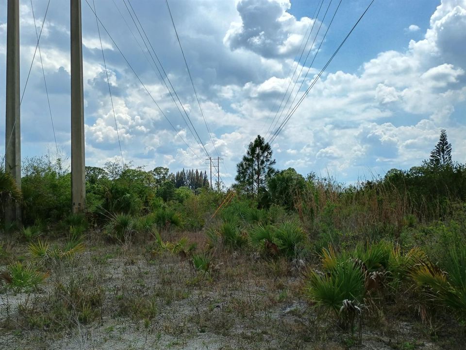 IMG_20260328_135451350_HDR