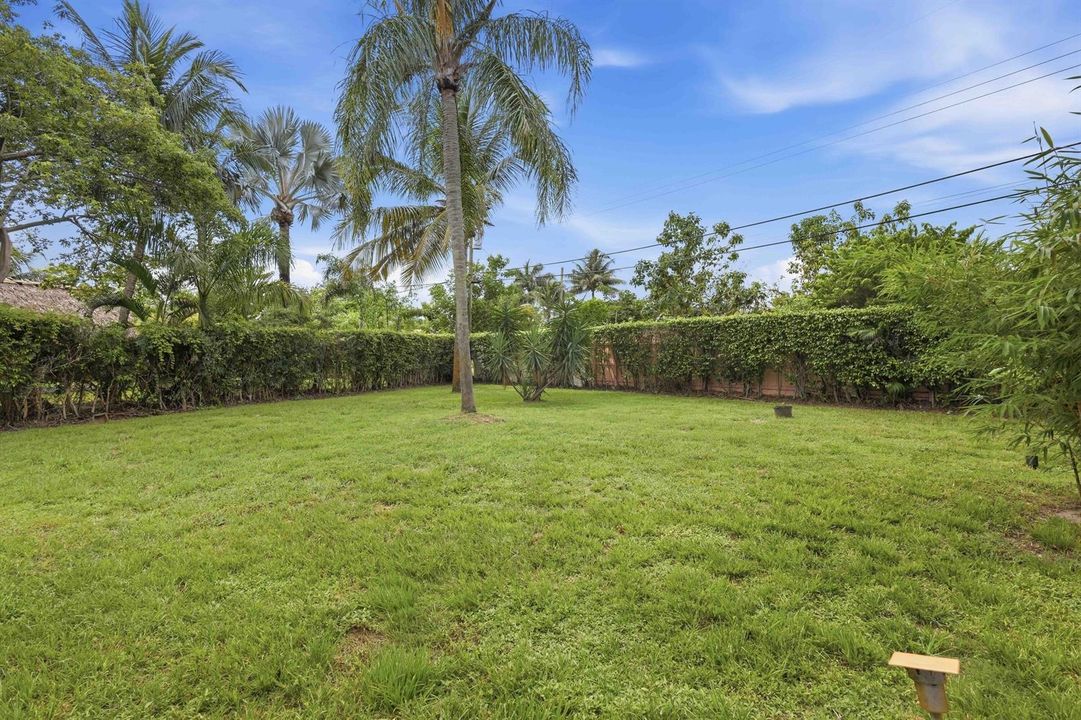 Yard