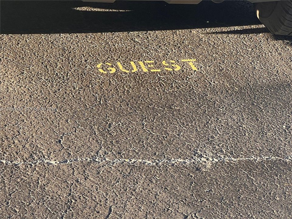 Asphalt parking surface with designated yellow-painted marking