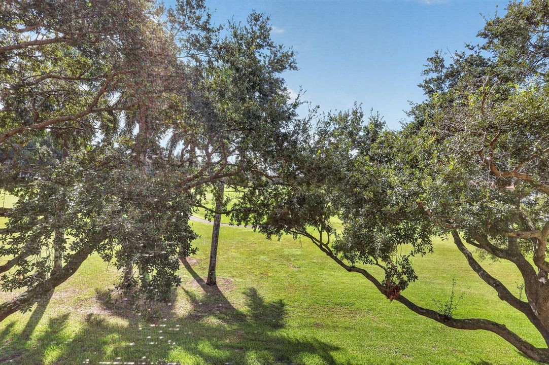 30-web-or-mls-8H3A3693