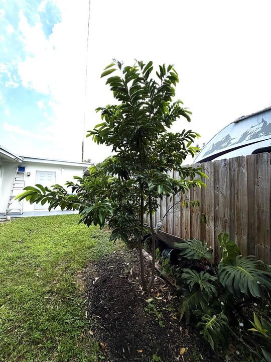 15 03 Front House