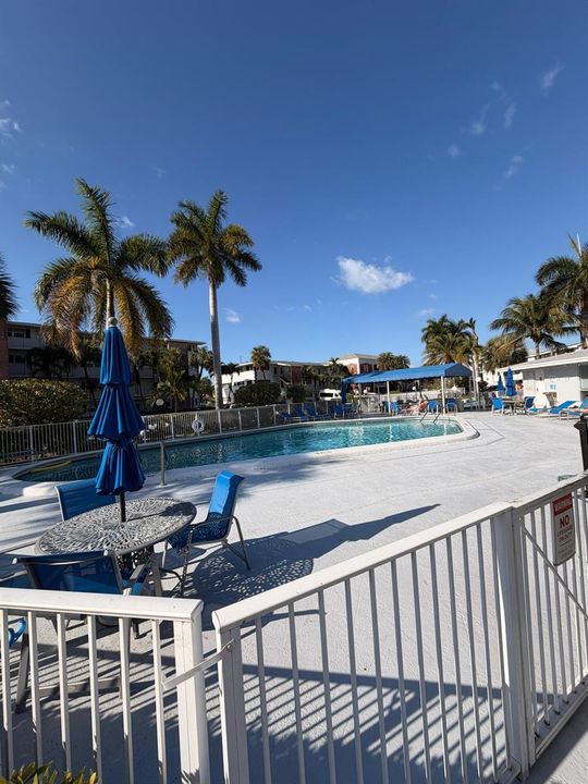 paradise pool