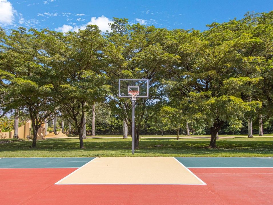 basketball court(1)