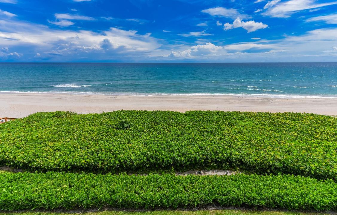 ocean views