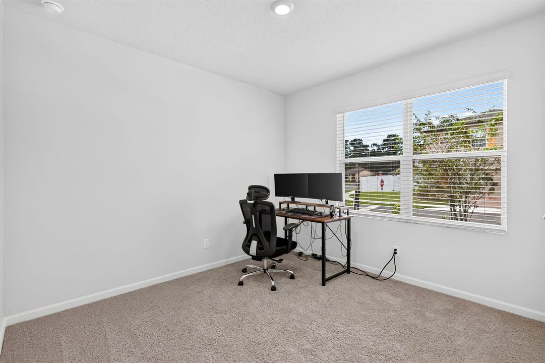 6-web-or-mls-5P1A1591