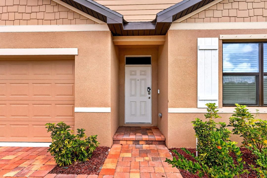 4-web-or-mls-5P1A1580