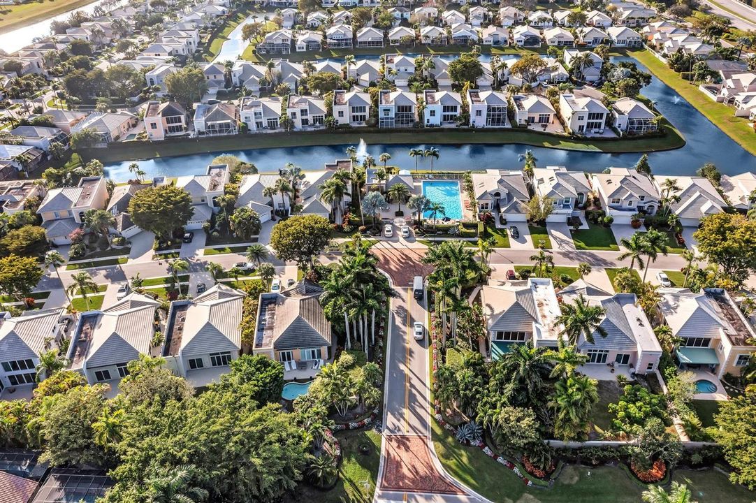 The Palms
