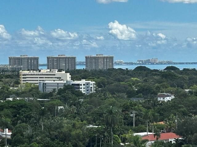 Elevated perspective featuring mature canopy trees, coastal shoreline, and high-rise skyline
