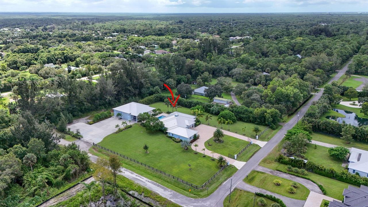 aerial view