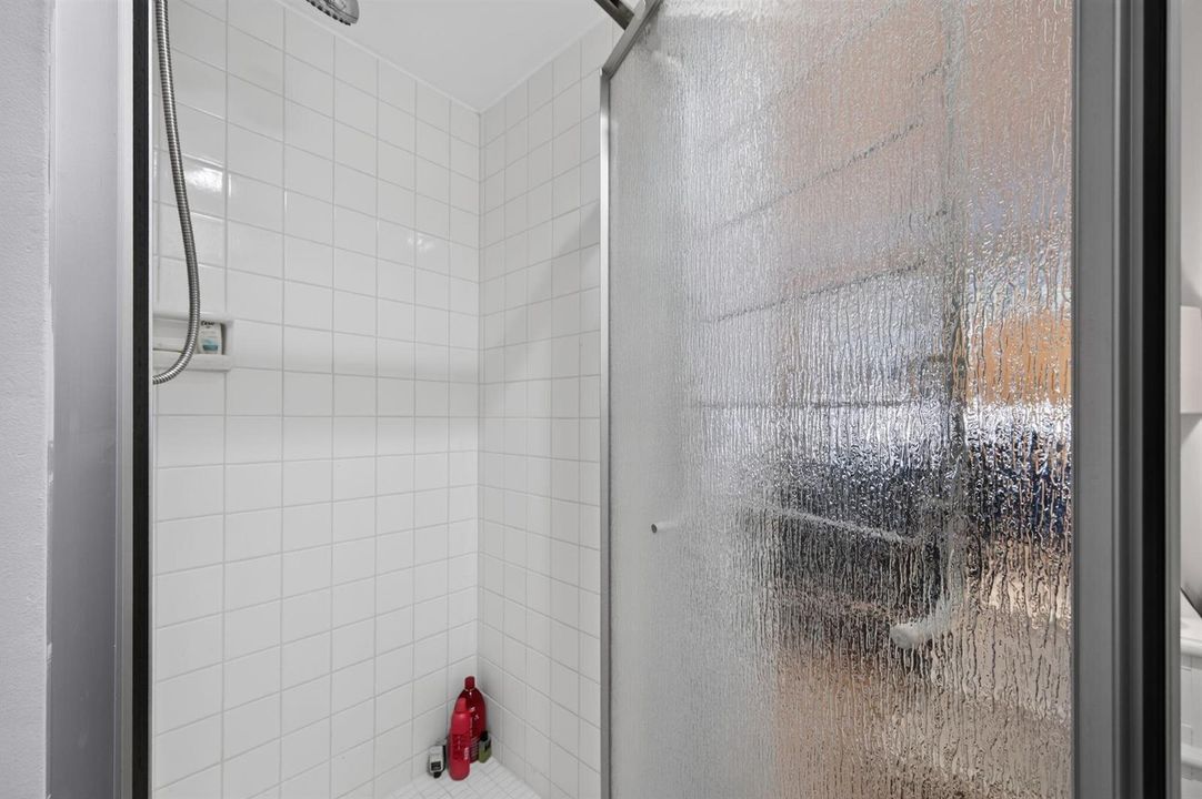 Guest Bathroom Shower