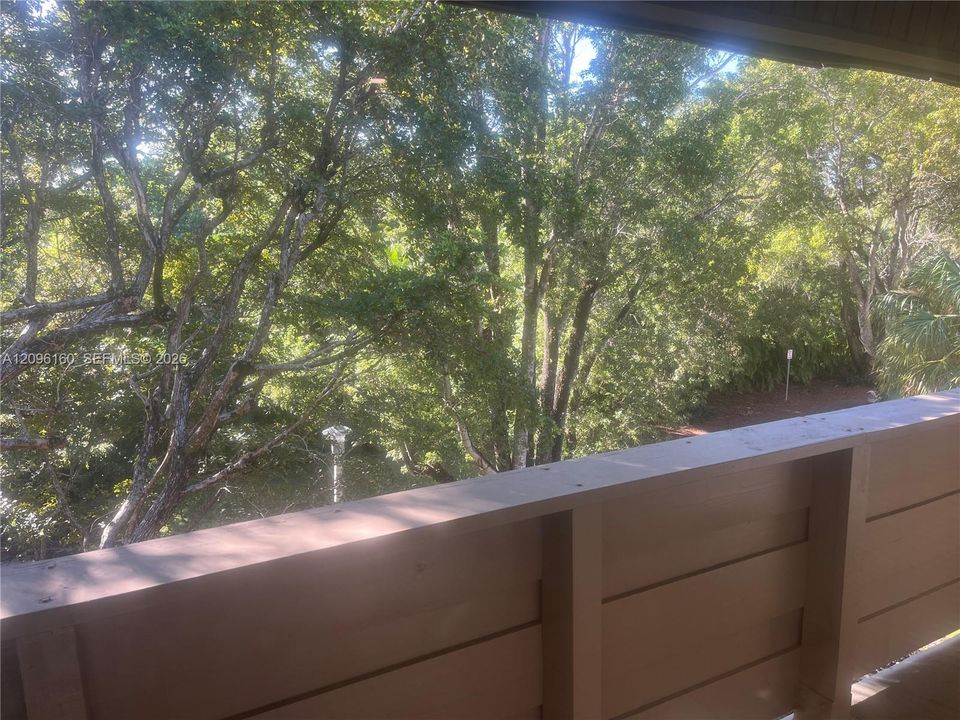 PENTHOUSE Balcony...Tree-top view