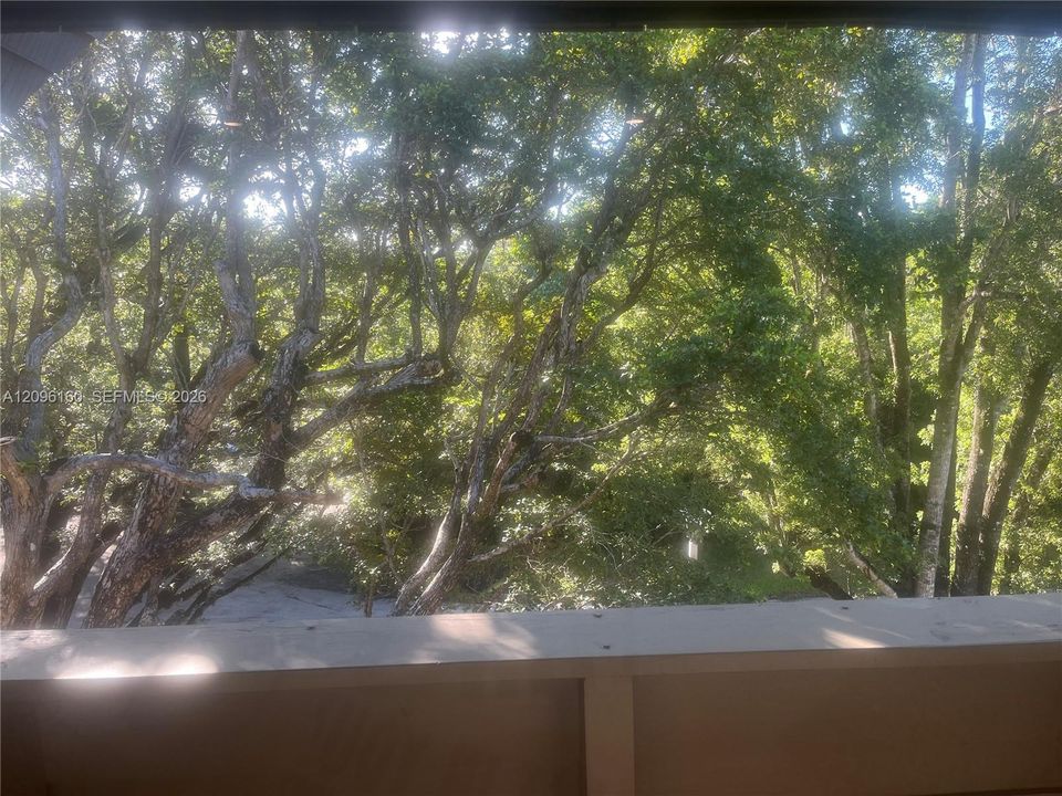 PENTHOUSE balcony...Tree-top view