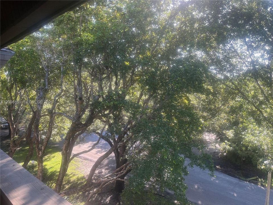 PENTHOUSE Balcony...Tree-top view