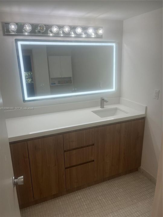 Updated Primary Bath