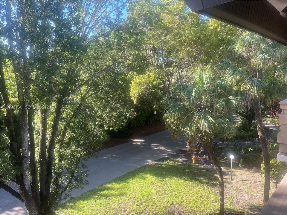 PENTHOUSE Balcony...Tree-top view