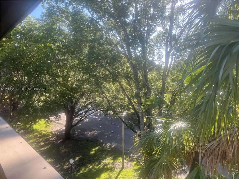 PENTHOUSE Balcony...Tree-top view