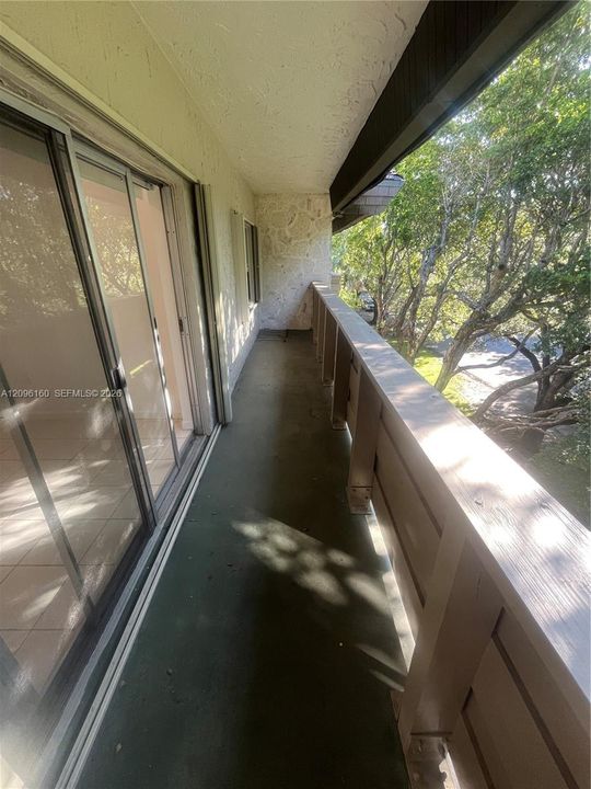 PENTHOUSE Balcony...Tree-top view