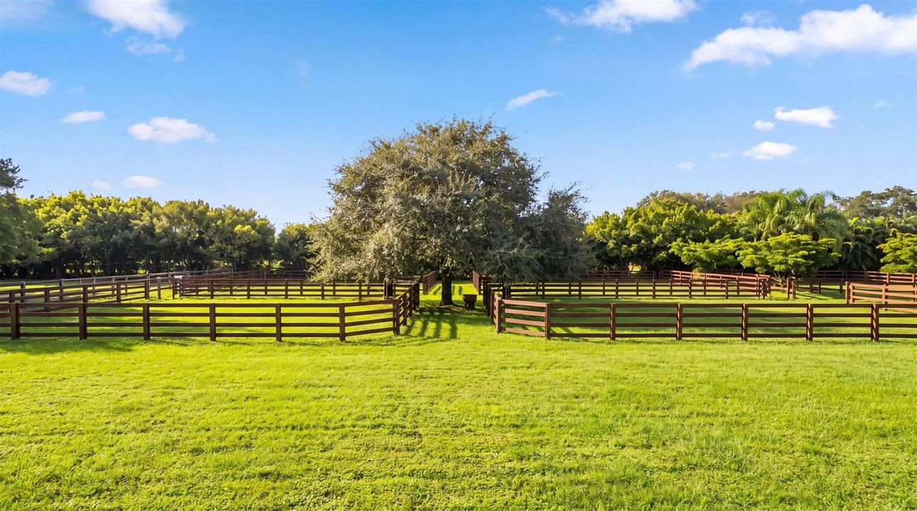 19-14883 Equestrian Way