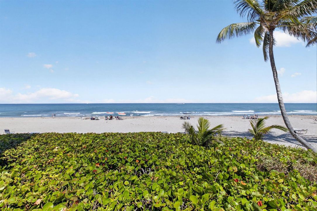 Palms + Ocean = Smiles!