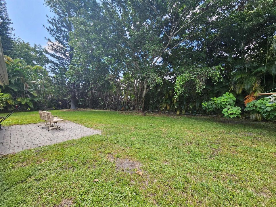 PATIO BACKYARD