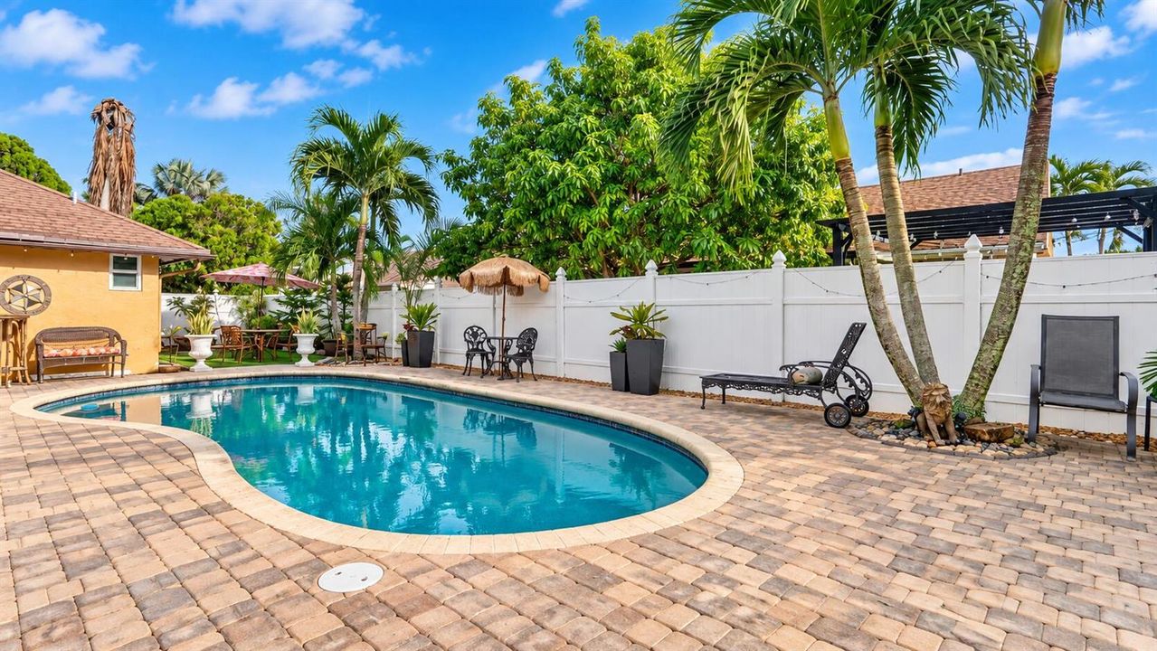 Pool backyard